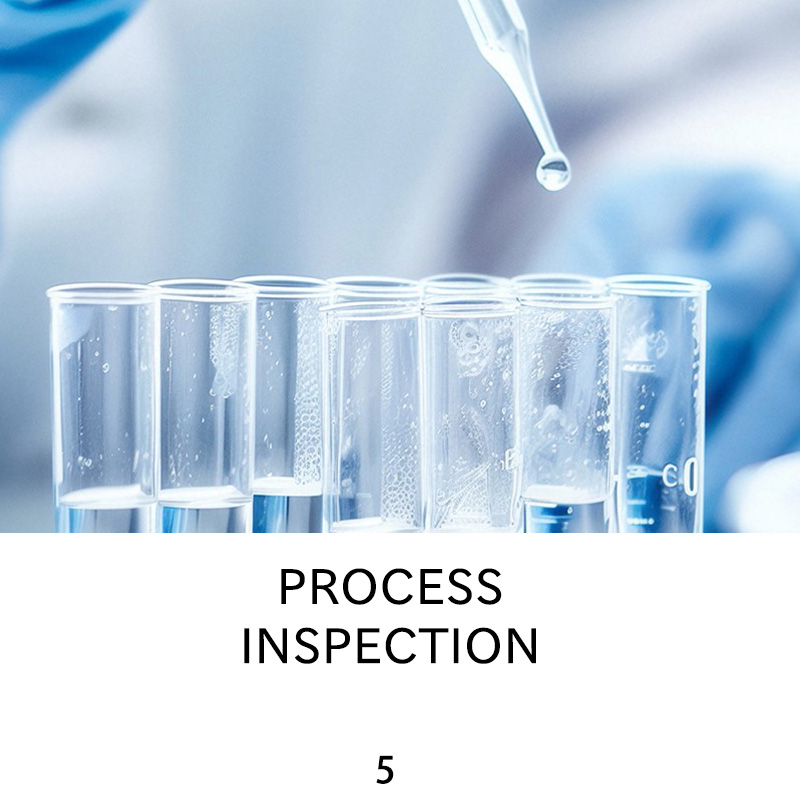 PROCESSINSPECTION