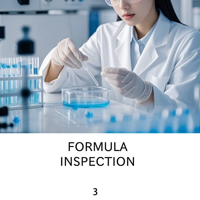 FORMULAINSPECTION