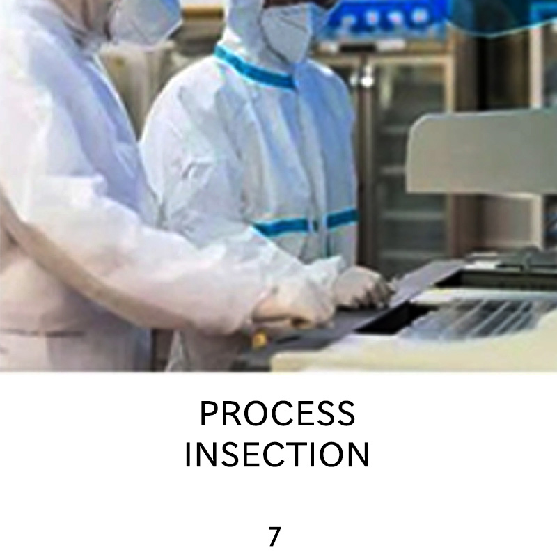 PROCESSINSECTION
