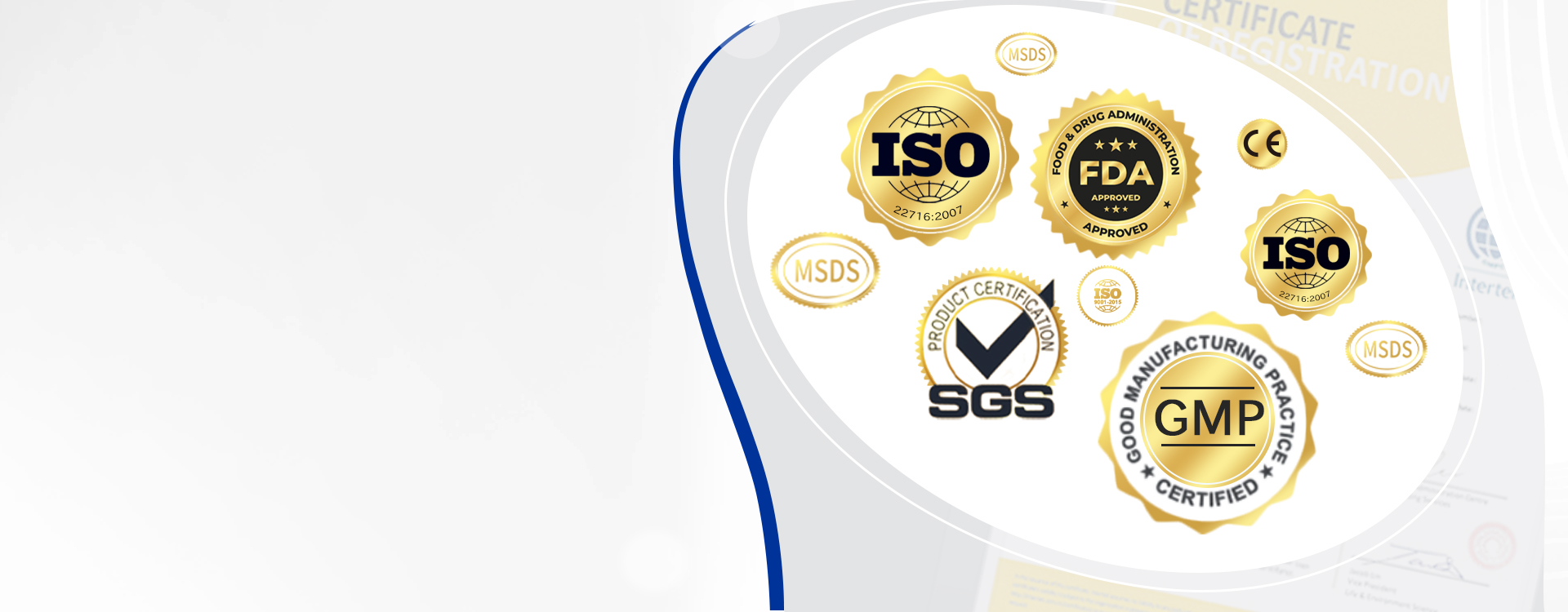 Innovation and R&D
 The Cornerstone of Quality